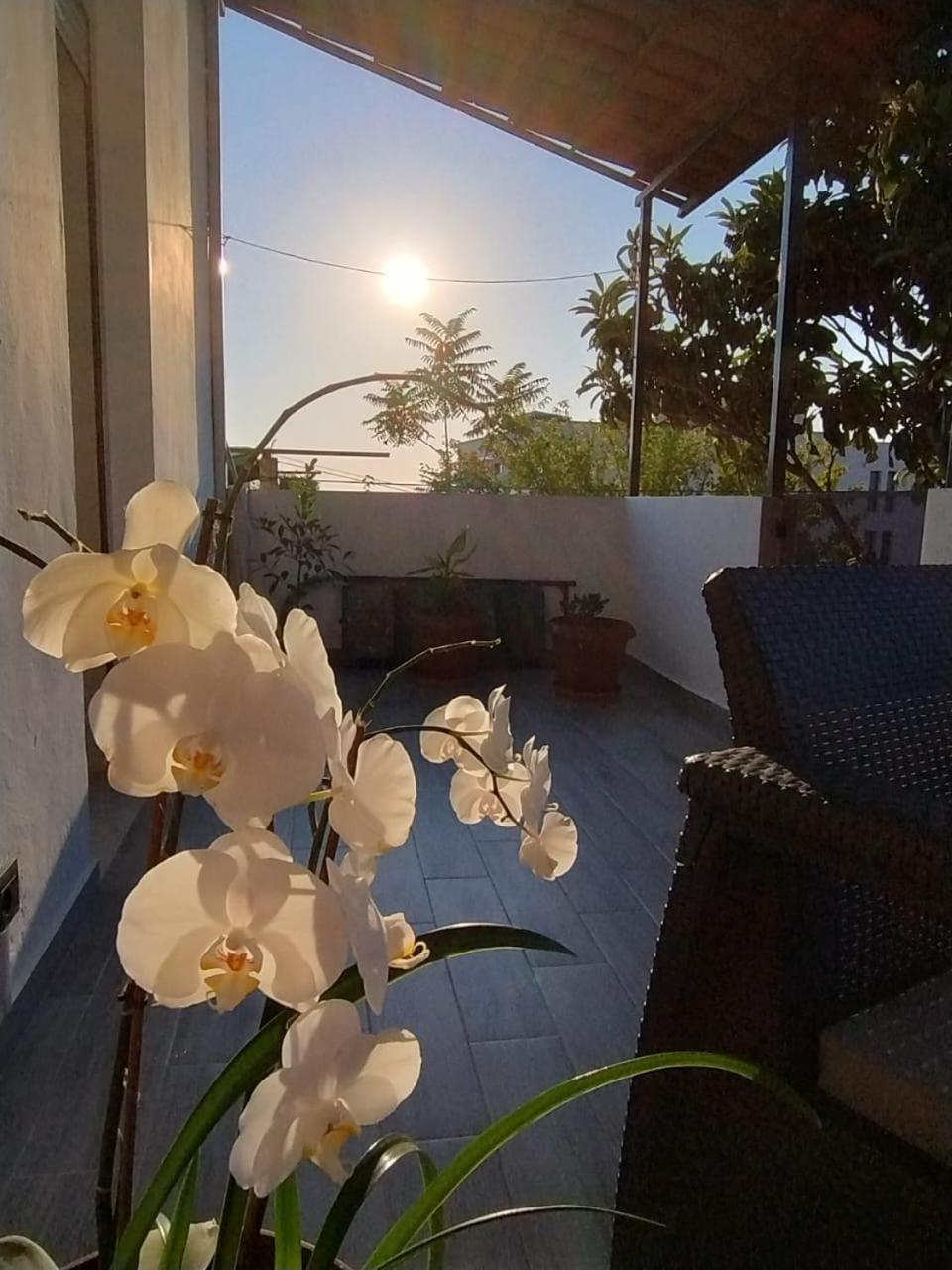 Villa Kurti *