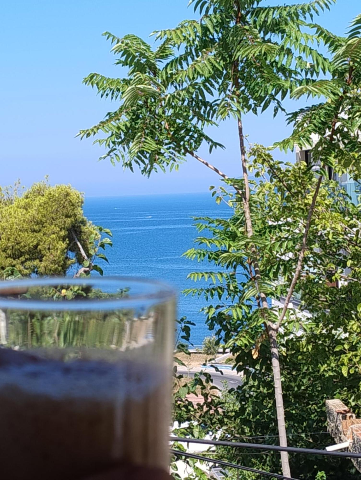 Kurti * Vlore