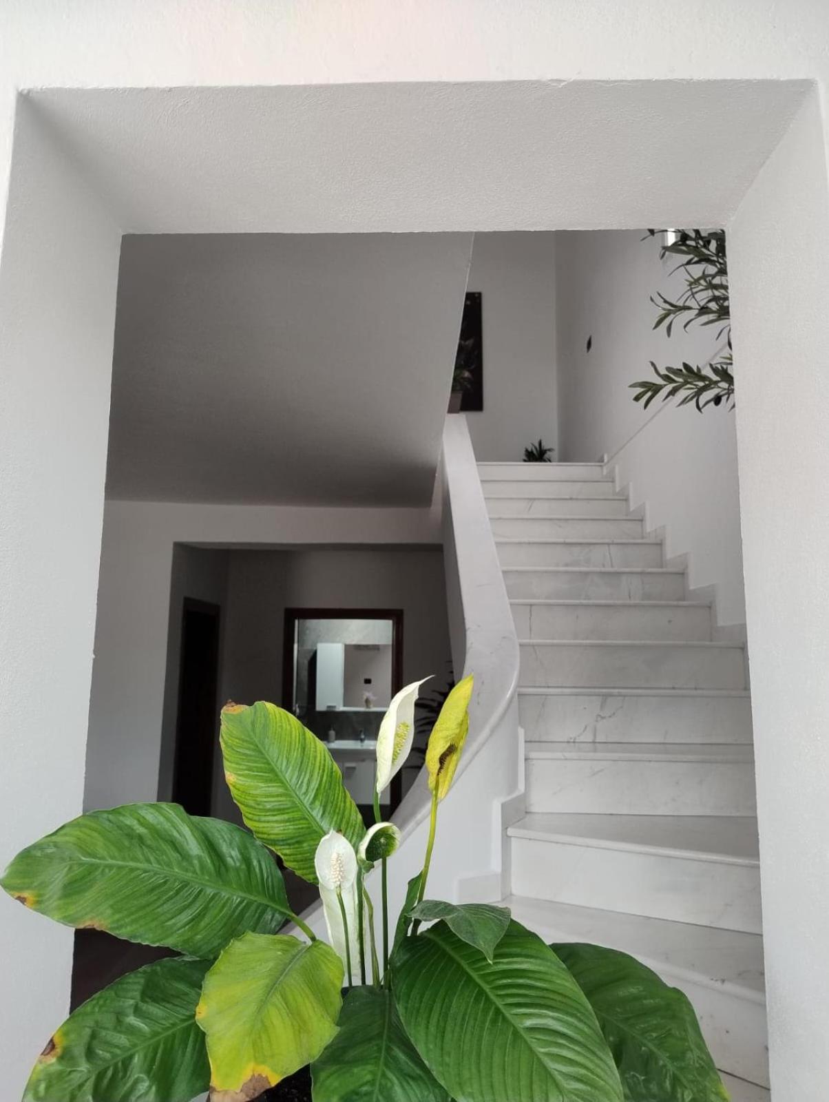Kurti Villa Vlore